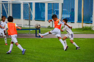 jornada 2-8